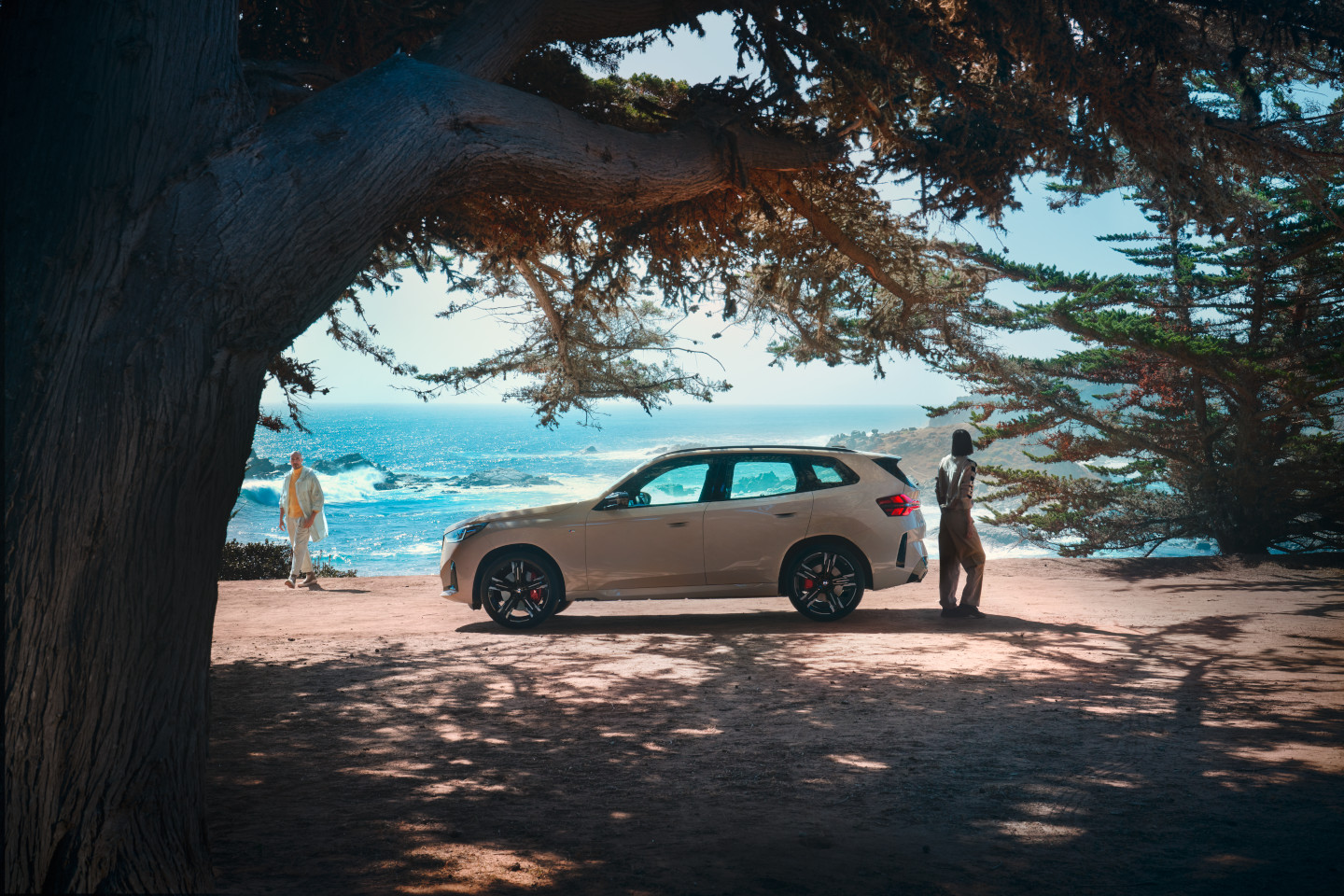 Light-colored BMW SUV parked under a tree by the coast, with two people nearby looking out at the sea.