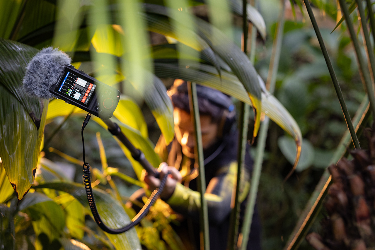 A BMW Group sound designer uses a microphone on a telescopic arm to record the natural sounds of a canopy of tropical leaves.