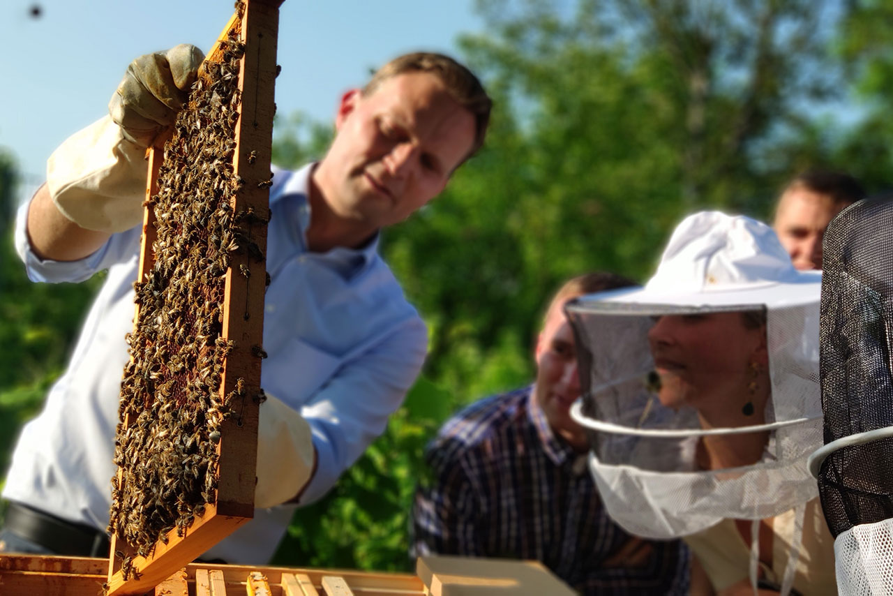 BMW Group offers bees a home.