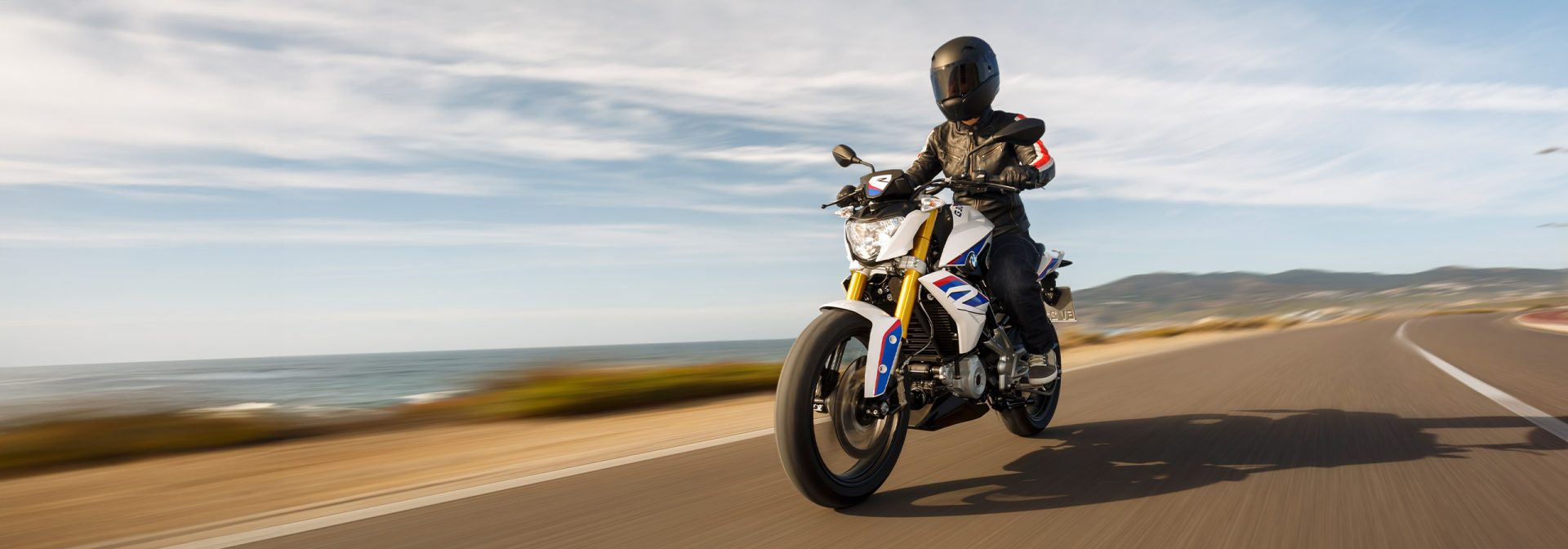 BMW G 310 R