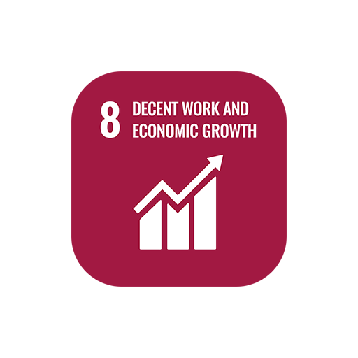 SDG 8