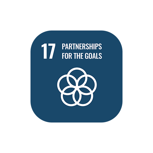 SDG 17