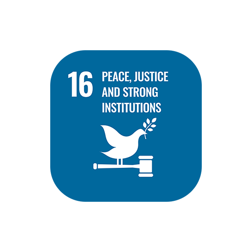 SDG 16