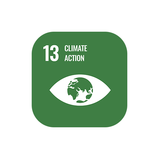 SDG 13