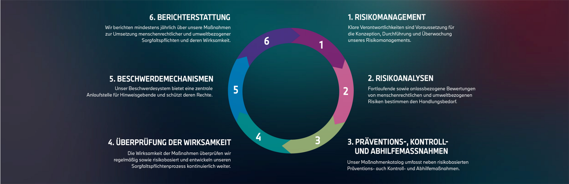 Visualisierung der sechs Phasen des Sorgfaltsprozesses, strukturiert und informativ für eine bessere Verständlichkeit.
