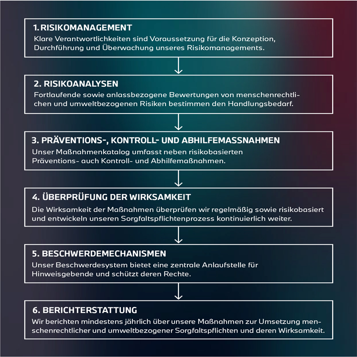 Visualisierung der sechs Phasen des Sorgfaltsprozesses, strukturiert und informativ für eine bessere Verständlichkeit.
