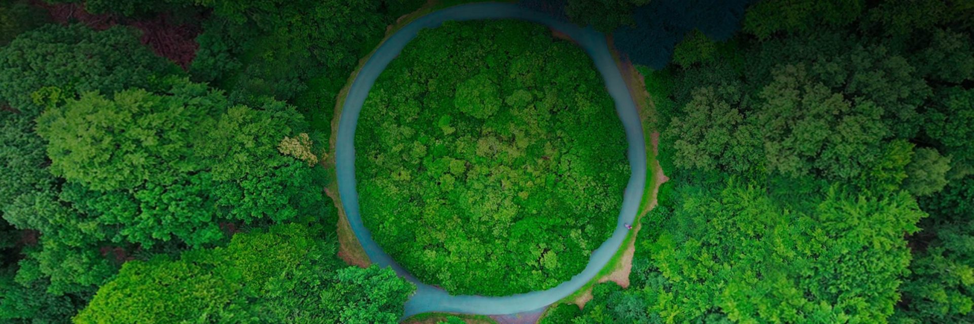 Forest Circle